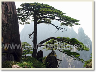 Shanghai Huangshan 6 Day Train Tour 